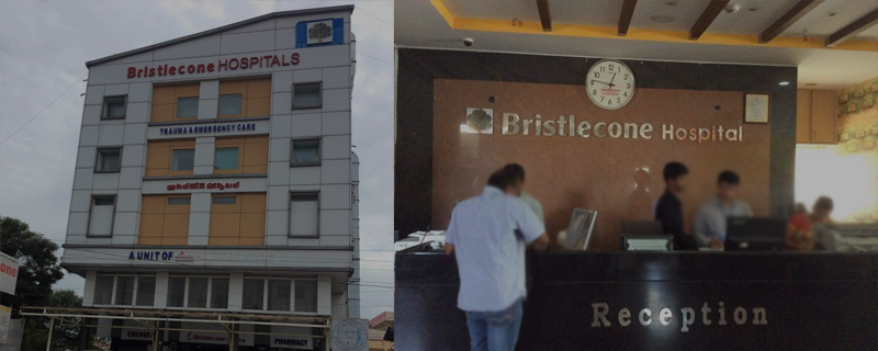 Bristlecone Hospitals - Hayathnagar 